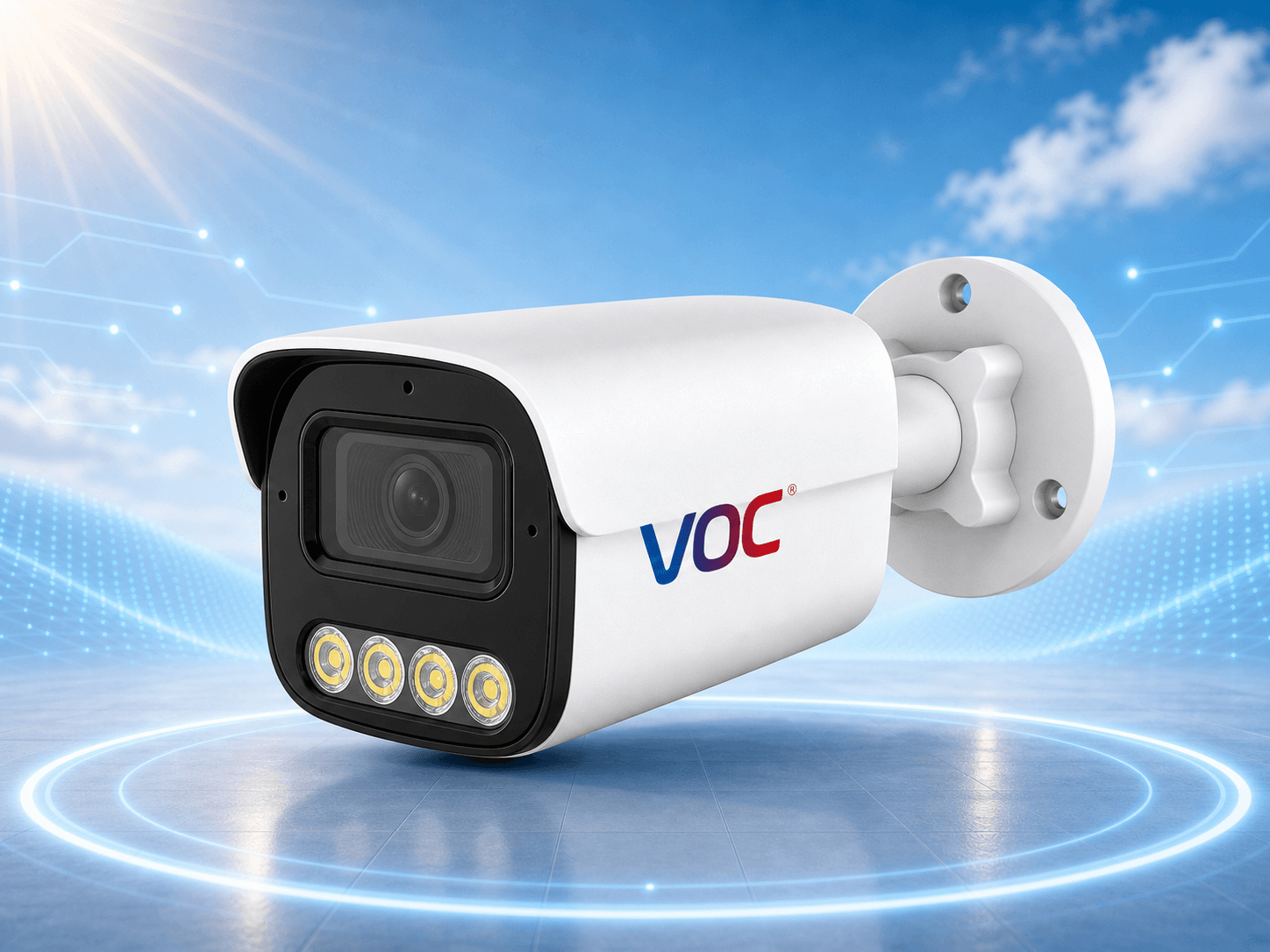 IP Cameras